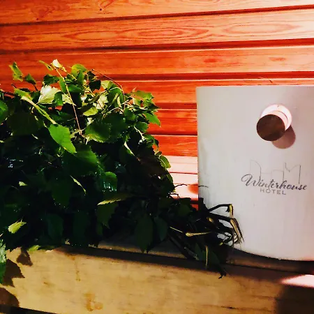 Winterhouse 2* هلسنكي