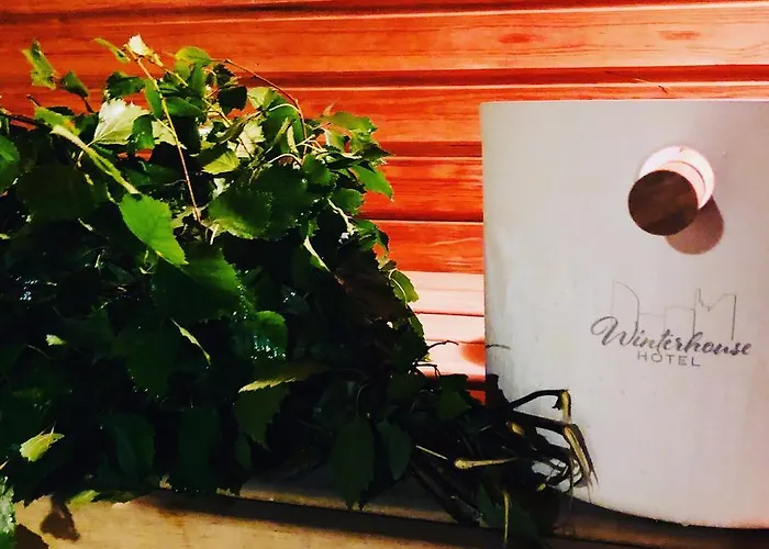 Winterhouse 2* ヘルシンキ